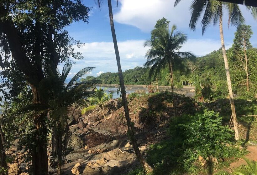 酒店 Pacific Lodge