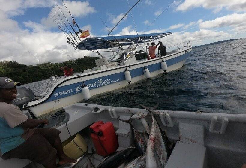 酒店 Pacific Lodge