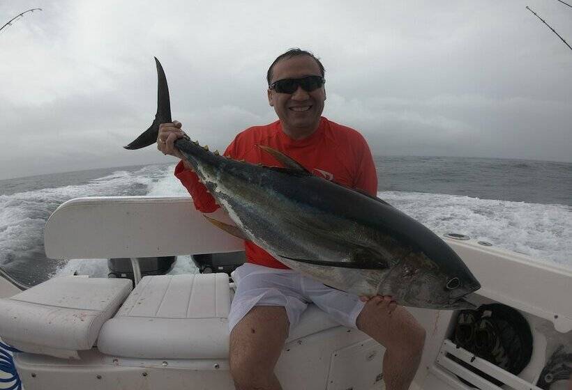 酒店 Pacific Lodge