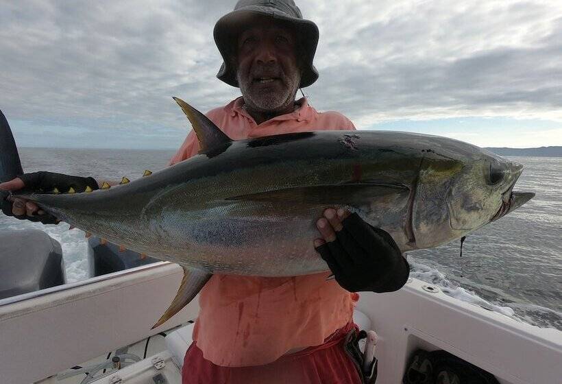 هتل Pacific Lodge