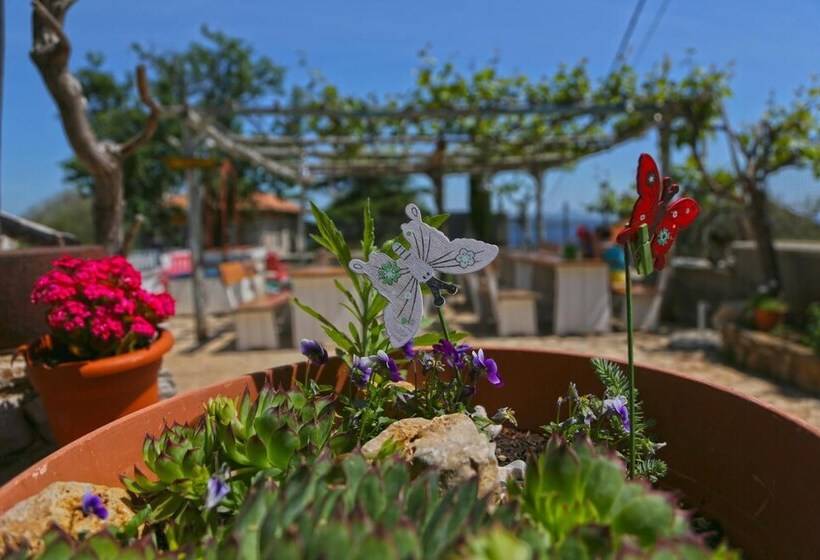 בית מלון כפרי Pansion Tramontana