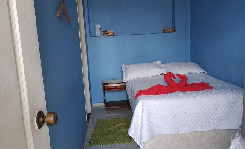 Отель Portal De Flandes