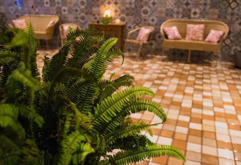 בית מלון כפרי Pousada Aurora