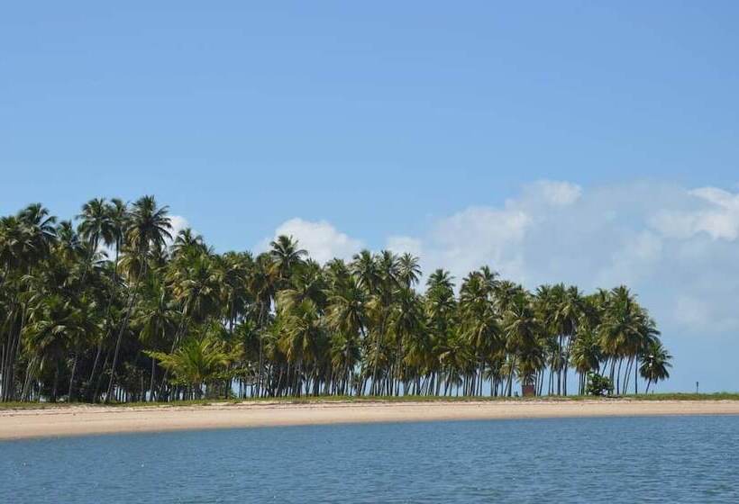 酒店 Pousada Cavalo Marinho