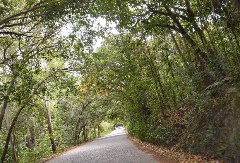 酒店 Pousada Cavalo Marinho