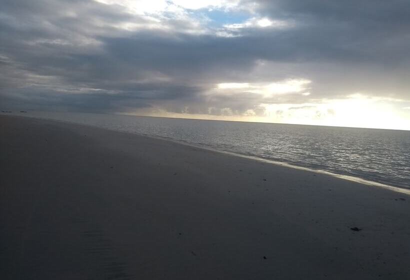 酒店 Pousada Cavalo Marinho