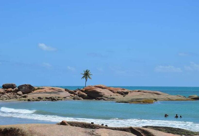 酒店 Pousada Cavalo Marinho