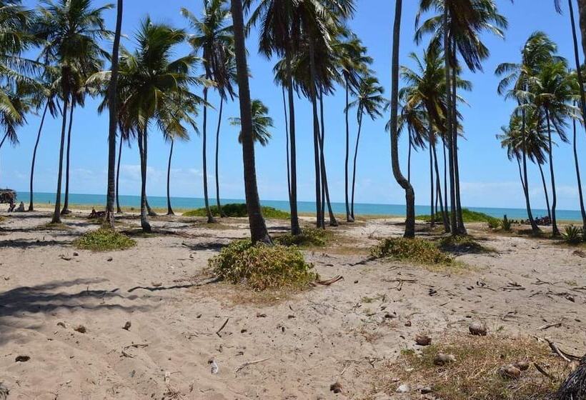 酒店 Pousada Cavalo Marinho