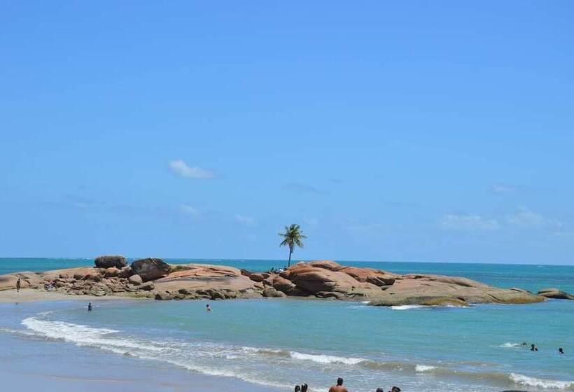 酒店 Pousada Cavalo Marinho