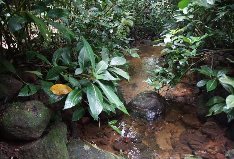 Отель Pousada Do Riacho