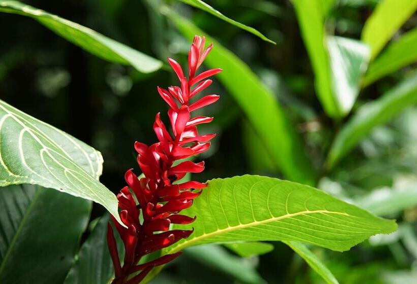 Отель Pousada Do Riacho