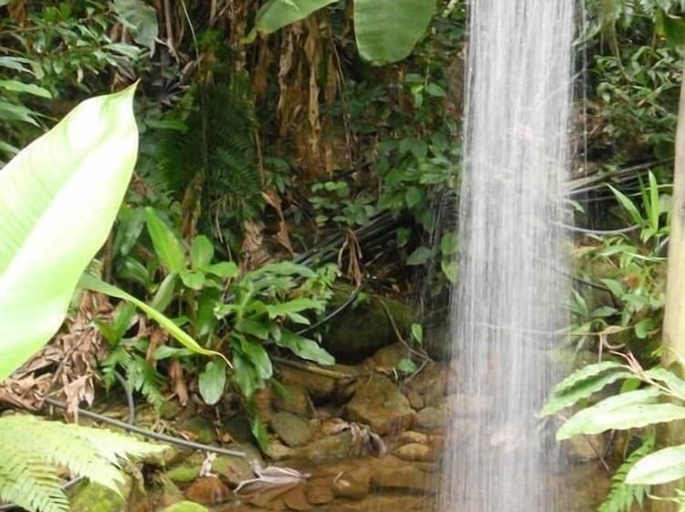 Отель Pousada Do Riacho