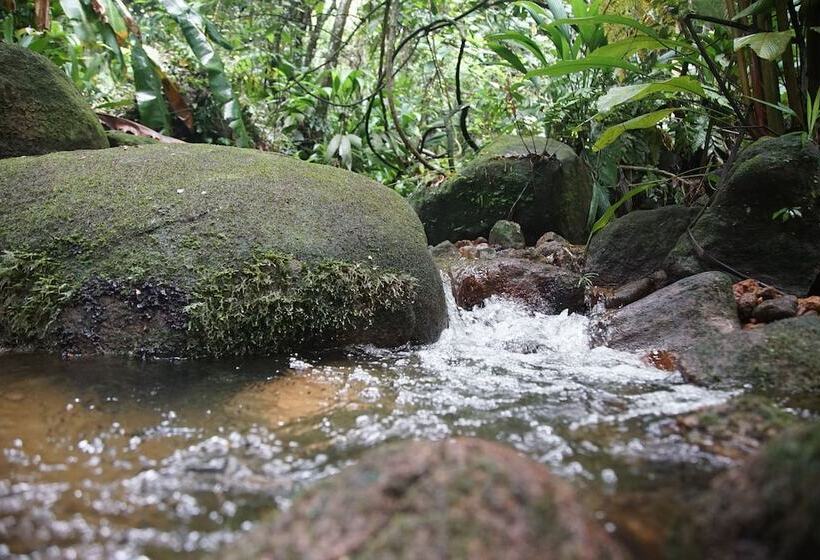 Отель Pousada Do Riacho