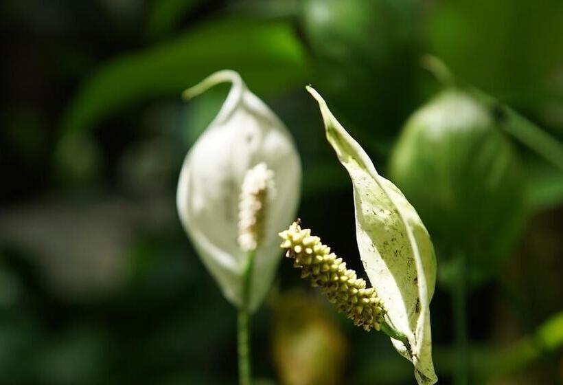 Отель Pousada Do Riacho