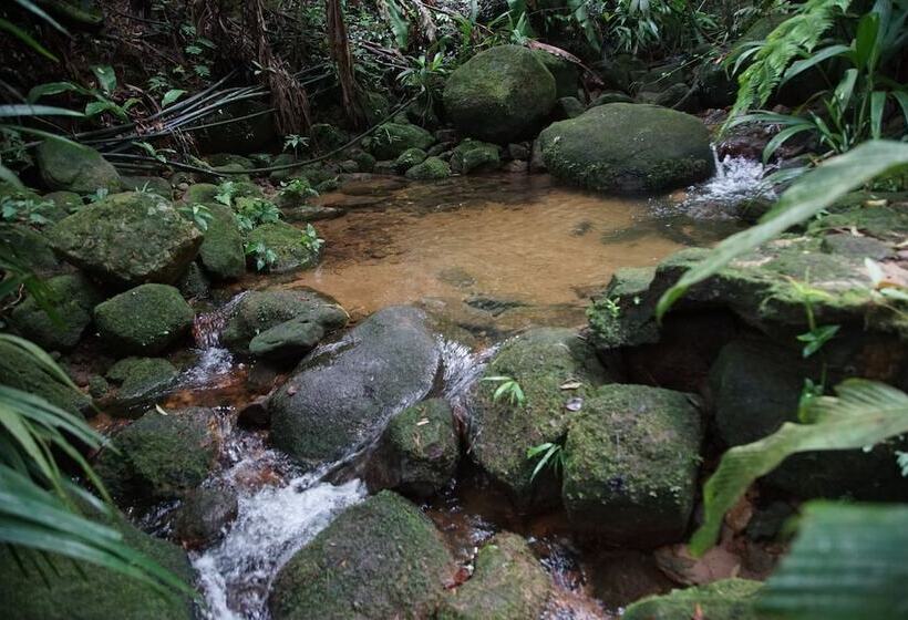 Отель Pousada Do Riacho