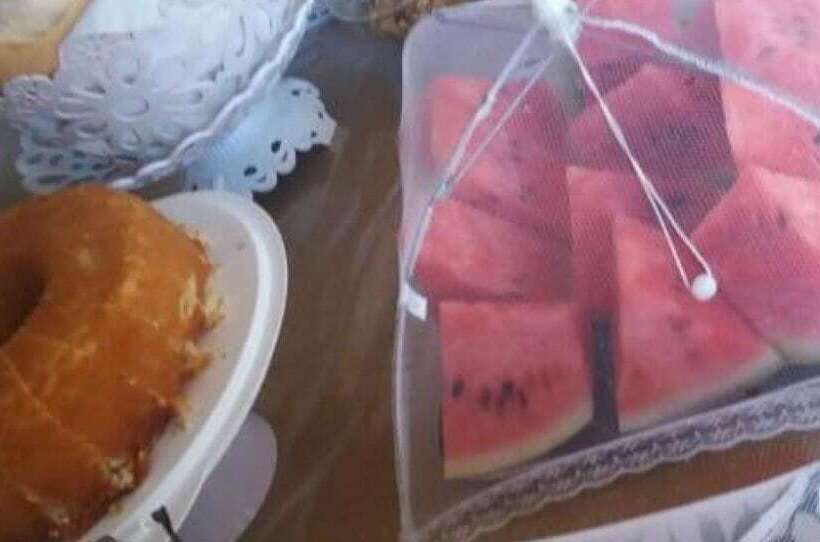 ホテル Pousada Virginia