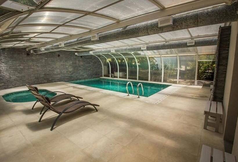 Отель Puerto Hamlet