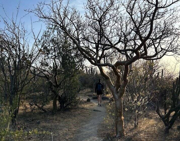 فندق Rancho Buena Vista