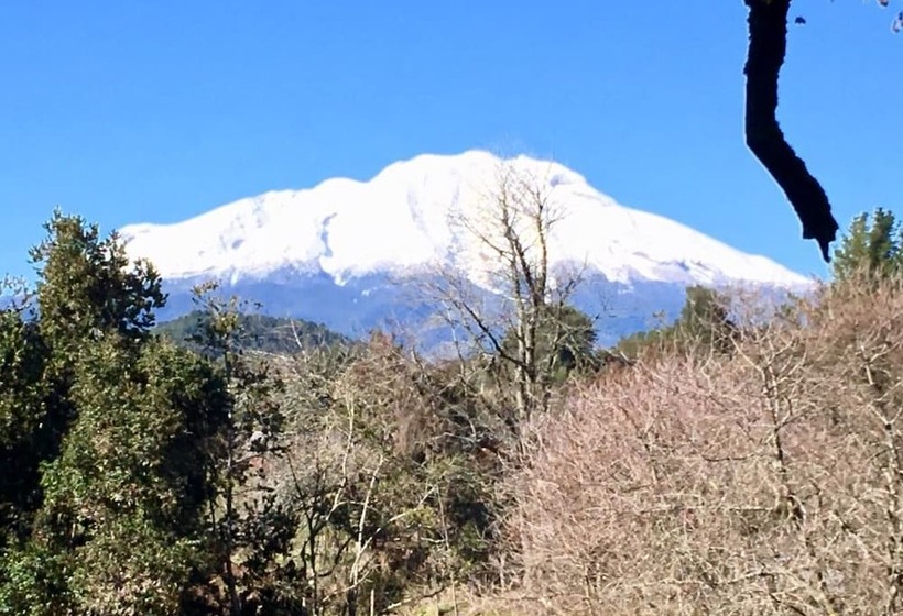 Отель Refugio Buraleo Lodge
