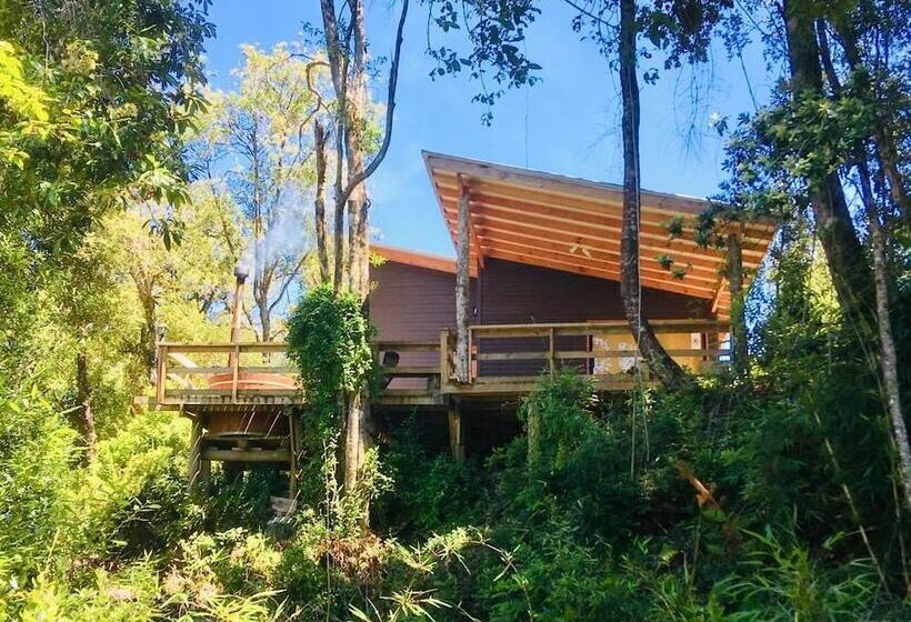 Отель Refugio Buraleo Lodge