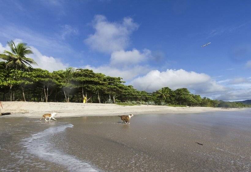 Отель Santa Teresa Surf Vista Villas