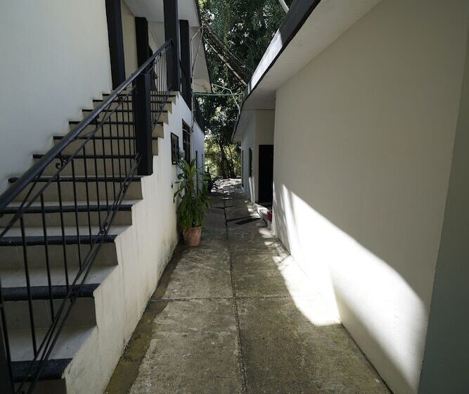 Отель Sevilla Palenque