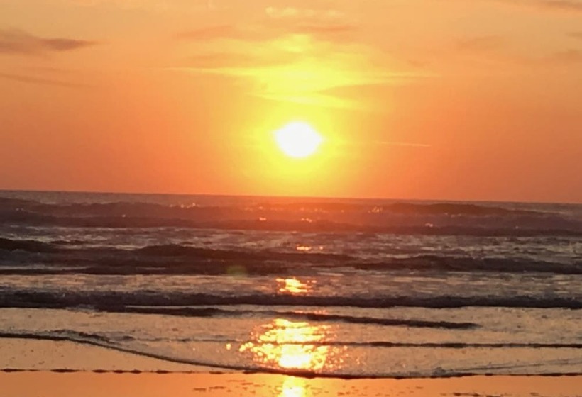 فندق Sou'wester Lodge & Vintage Trailers