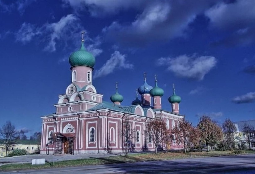 בית מלון כפרי Svir