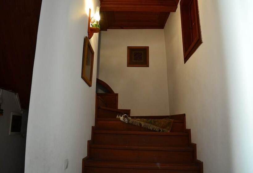 בית מלון כפרי Tasev Konagi