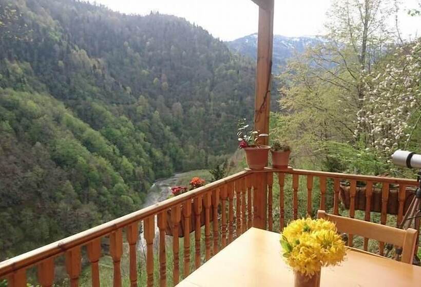 ホテル The High Trees