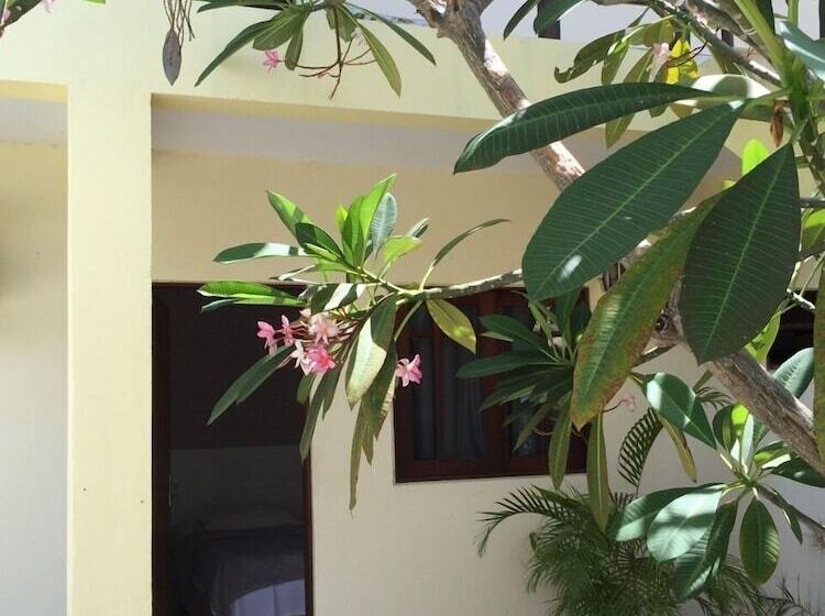 Отель Villa Joia Pousada