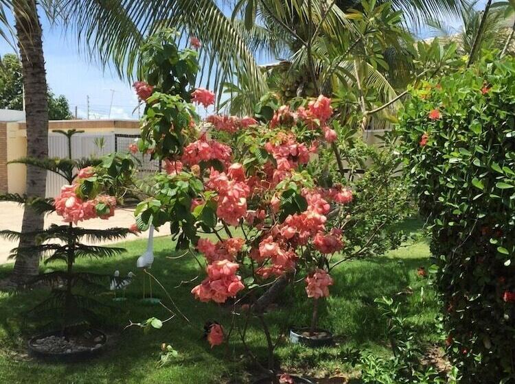 Отель Villa Joia Pousada