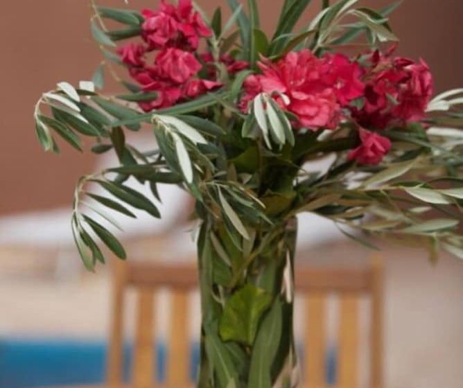 L  Amandier Hotel & Villas