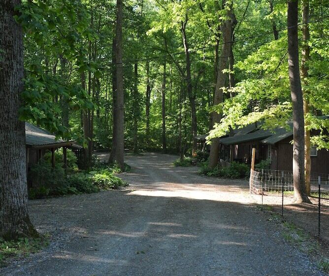 Lost Lodge Resort