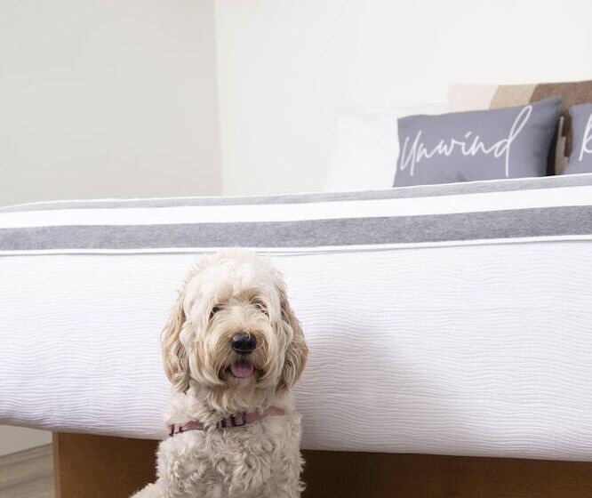 汽车旅馆 Endless Coast, A Boutique