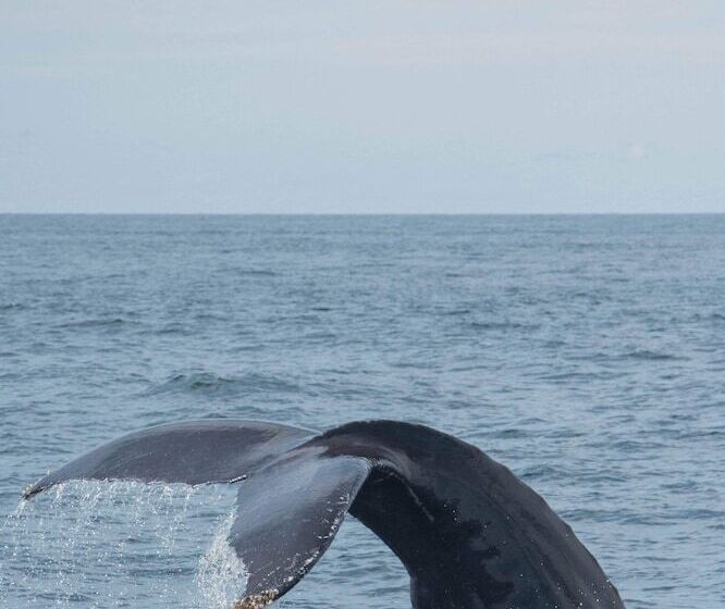 汽车旅馆 Endless Coast, A Boutique