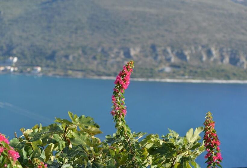 פנסיון Akrolithi Boutique