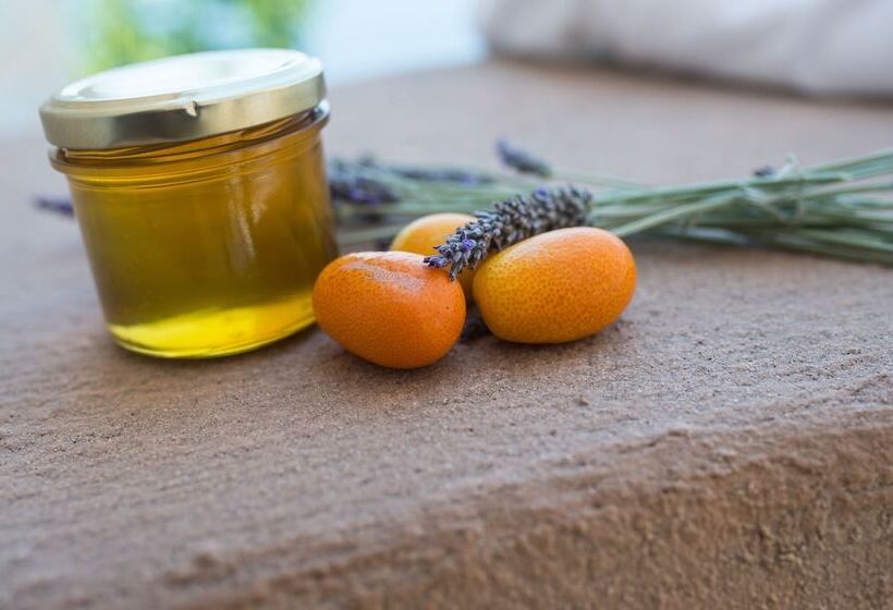 פנסיון Akrolithi Guesthouse