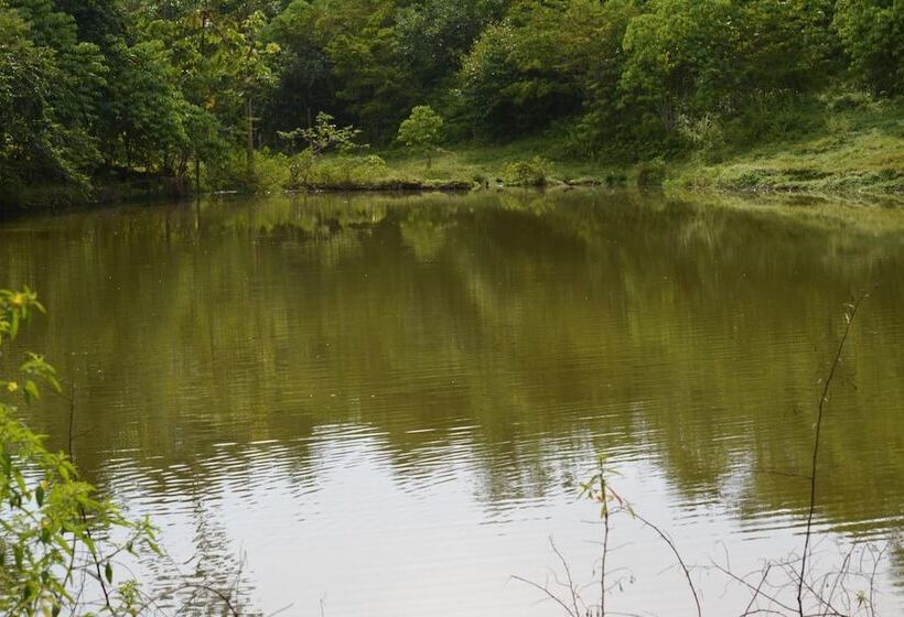 پانسیون Albergue La Laguna Corcovado Park