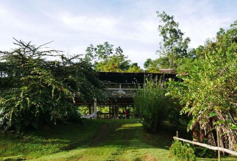پانسیون Albergue La Laguna Corcovado Park