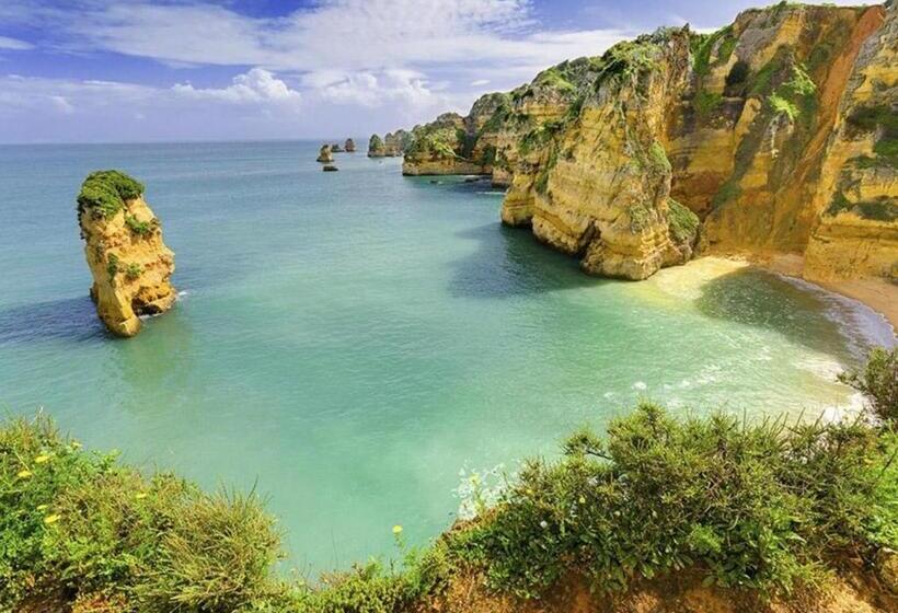 펜션 Brisa Sul Guest House