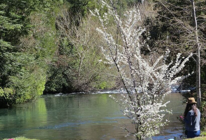 펜션 Cabaña Los Coigues 2308