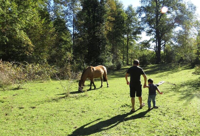 펜션 Cabaña Los Coigues 2308