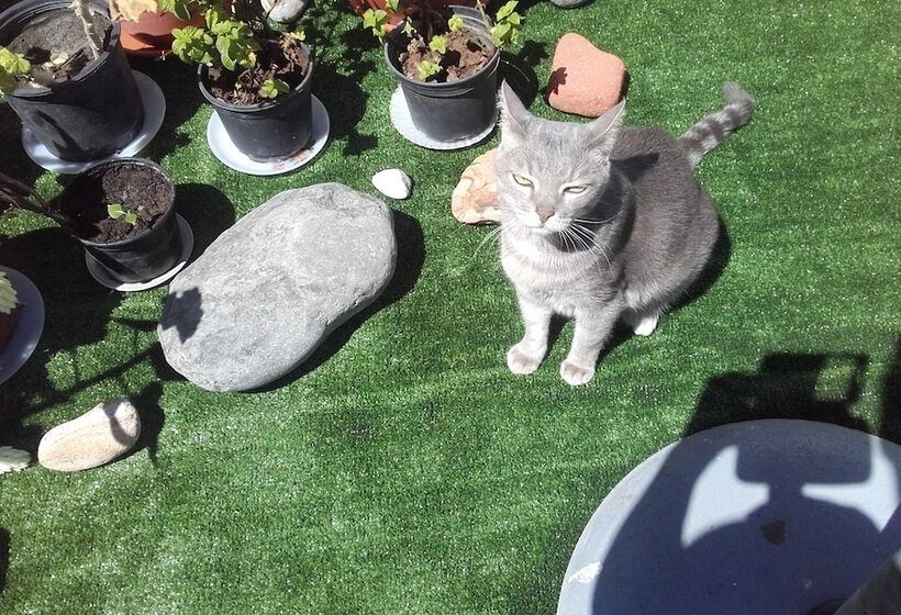 펜션 Casa De Huespedes Qué Encanto La Italiana   Adults Only