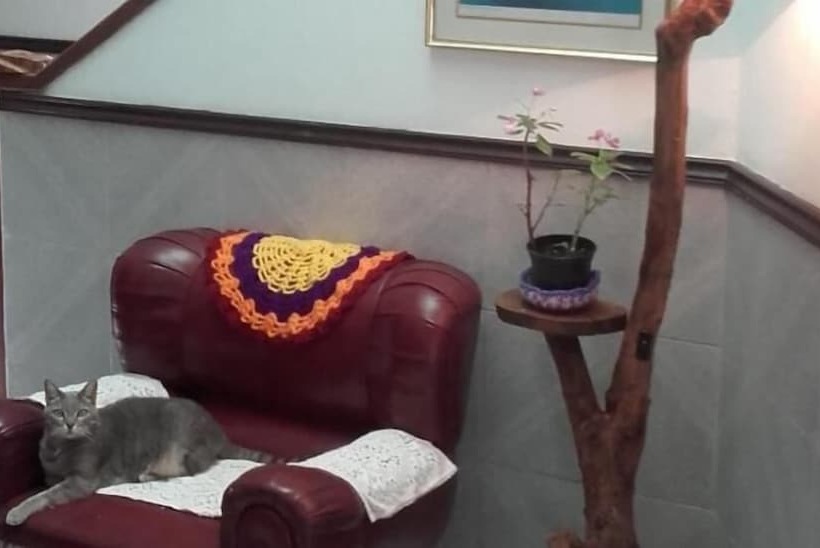 펜션 Casa De Huespedes Qué Encanto La Italiana   Adults Only