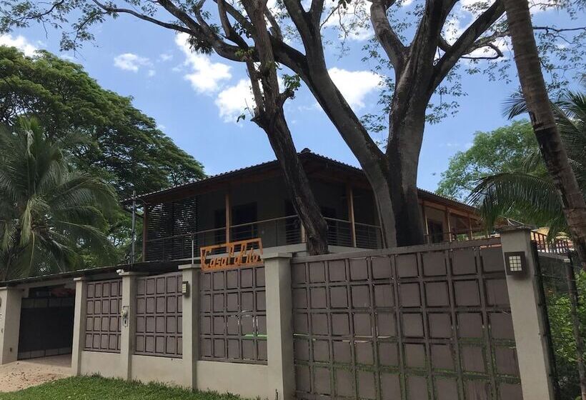 ペンション Casa Papito