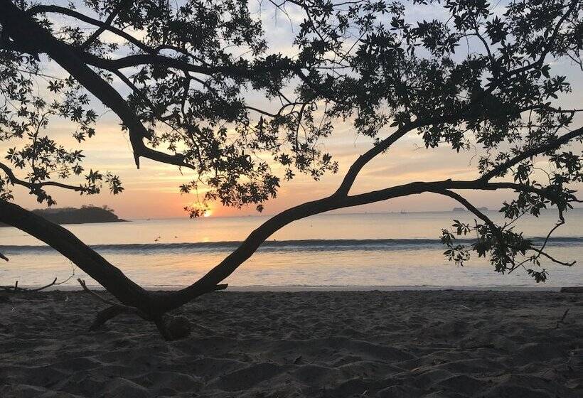 ペンション Casa Papito