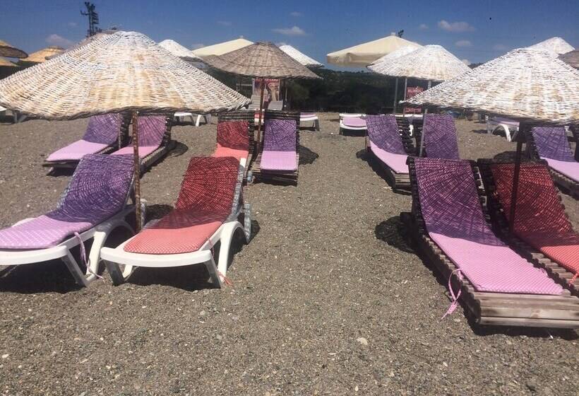 펜션 Elibol Camping