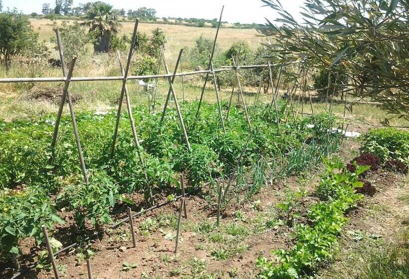 פנסיון Fattoria S'imbiligu