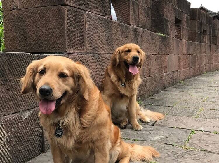 بنسيون Fenghuang Hemu House